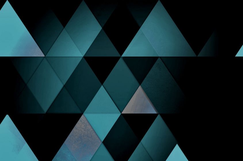 Project Highlights